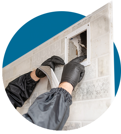 Dryer Vent Cleaning